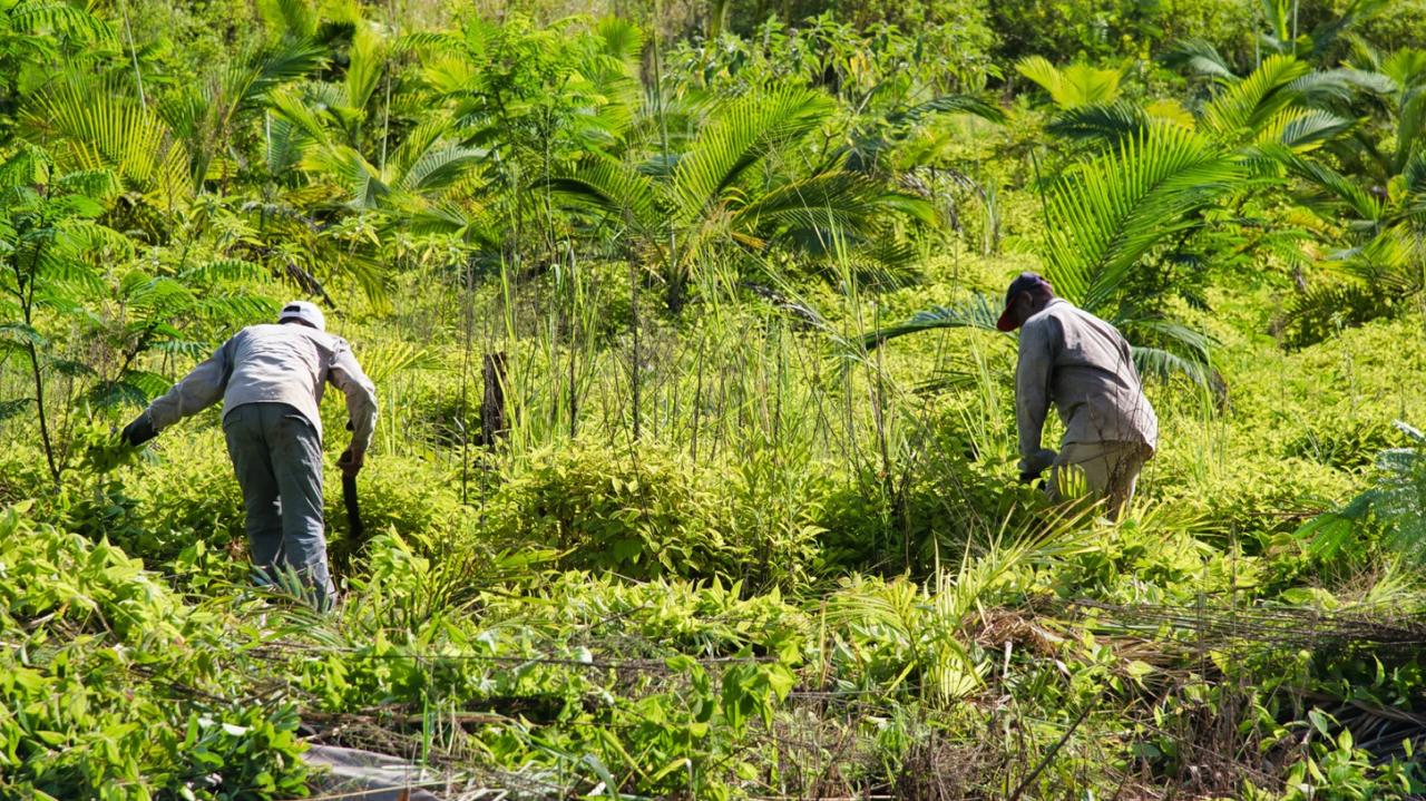 Incra abre inscrições para seleção de 184 famílias no programa de Reforma Agrária no Tocantins