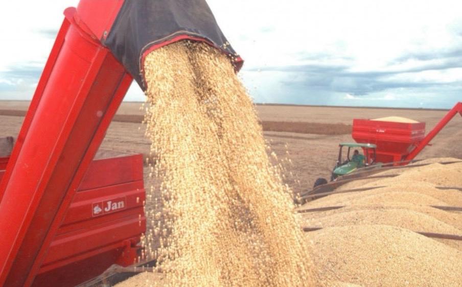 O Tocantins Avança no Comércio Exterior com a Caravana do Agro Exportador