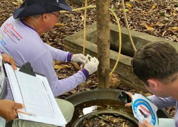casos de dengue e registra queda