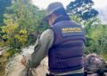 Fiscalização e educação ambiental