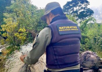 Fiscalização e educação ambiental
