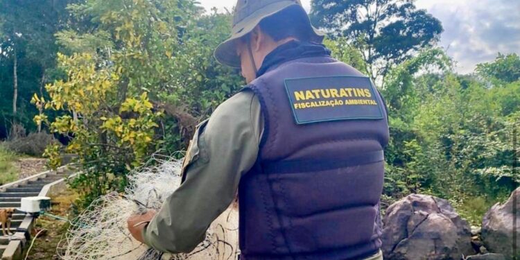 Fiscalização e educação ambiental