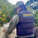 Fiscalização e educação ambiental