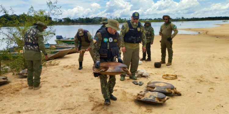 Operação Piracema avança no Tocantins