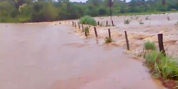 Chuvas intensas mobilizam Governo do Tocantins.
