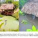 Jalapão fica submerso após cheia do Rio Sono.