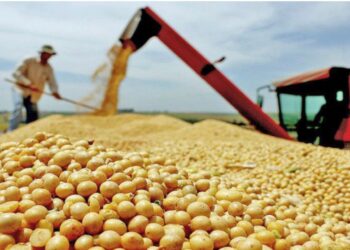 Tocantins, o impacto do agro é ainda mais decisivo.