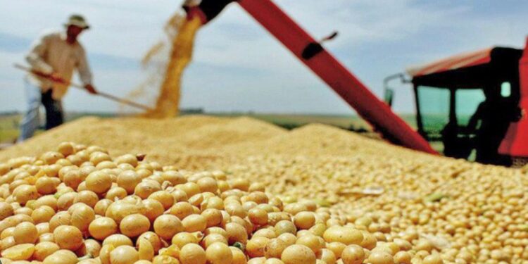 Tocantins, o impacto do agro é ainda mais decisivo.
