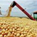 Tocantins, o impacto do agro é ainda mais decisivo.