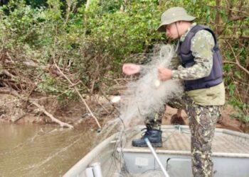 Naturatins faz fiscalização no Bico do Papagaio.